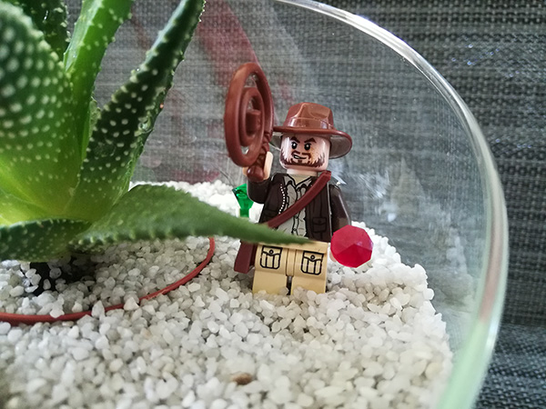 Lego Indiana Jones Terrarium 5