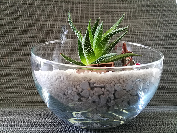 Lego Indiana Jones Terrarium 9